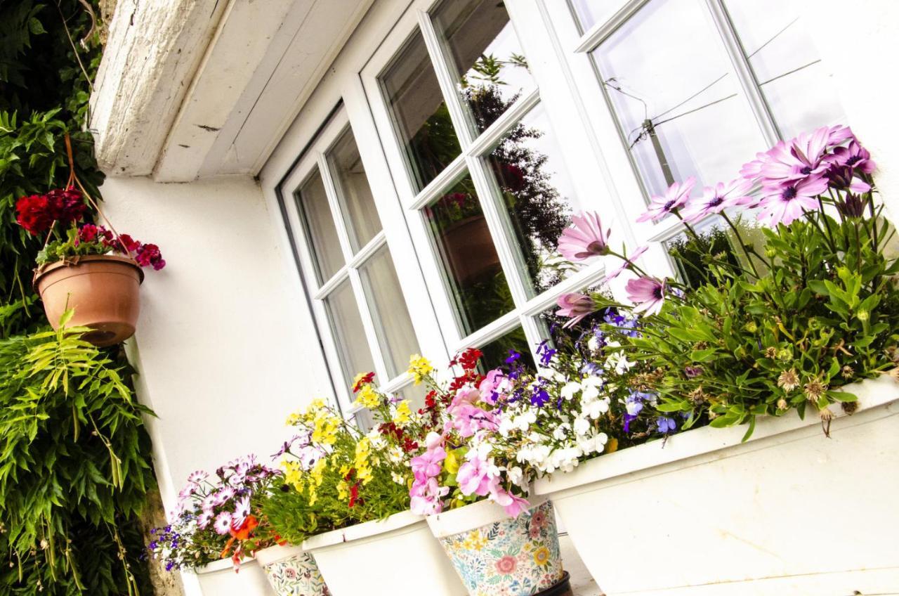 La Grenelle Bed & Breakfast Houlbec-Cocherel Eksteriør bilde